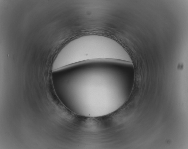 X0000093130608200709261037