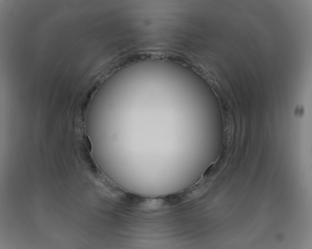 X0000093130609200709261037