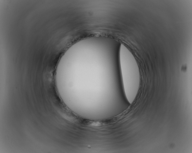 X0000093130611200709261037