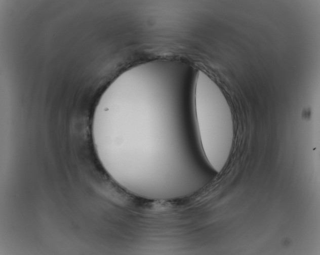 X0000093130612200709261037