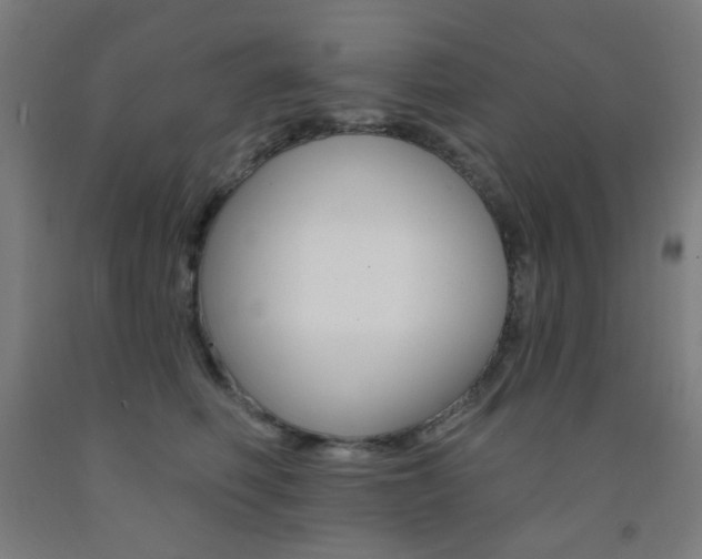 X0000093130614200709261037