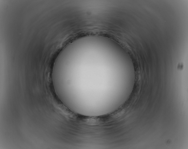 X0000093130615200709261037