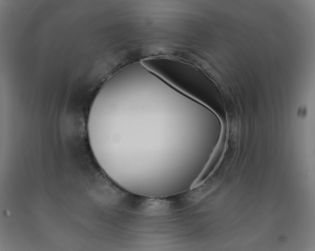 X0000093130617200709261037