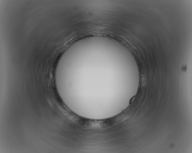 X0000093130618200709261037