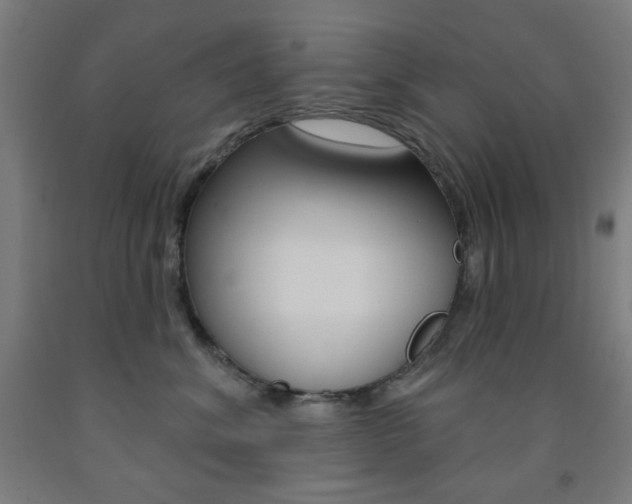 X0000093130620200709261036