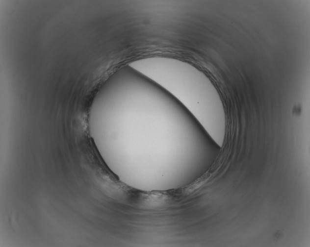 X0000093130621200709261036