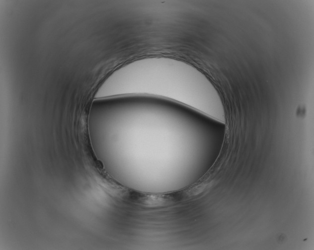 X0000093130623200709261036