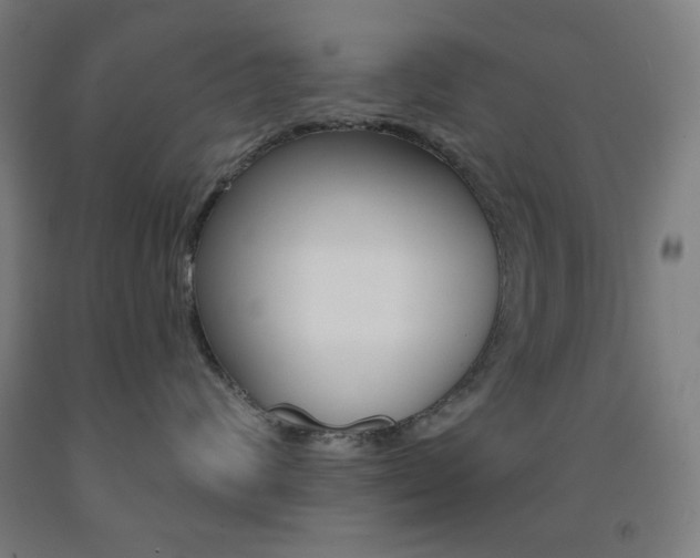 X0000093130624200709261036