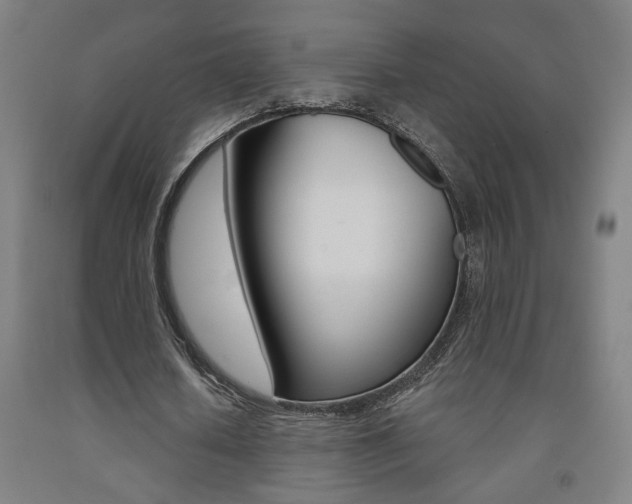 X0000093130626200709261036