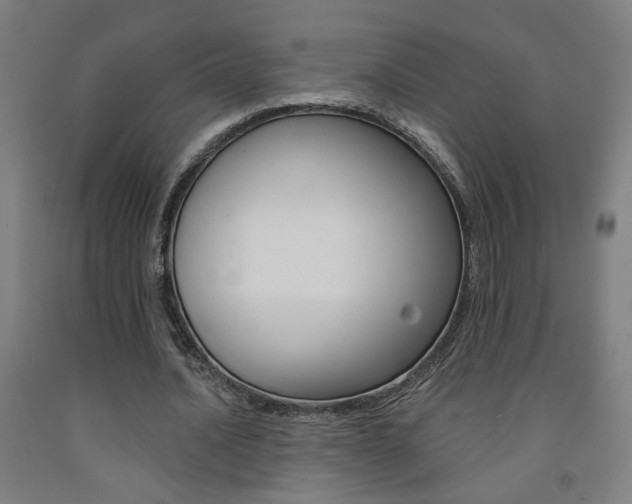 X0000093130628200709261036