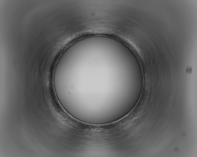 X0000093130631200709261036