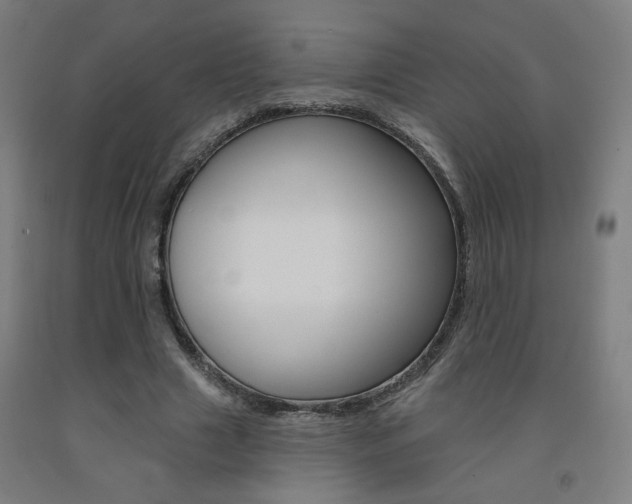 X0000093130633200709261036