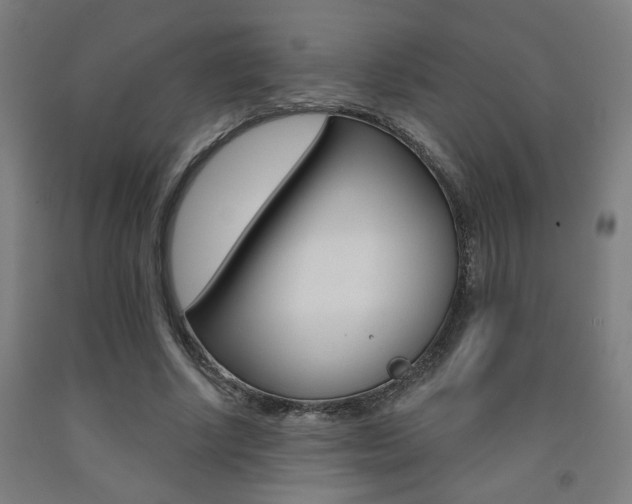 X0000093130634200709261036