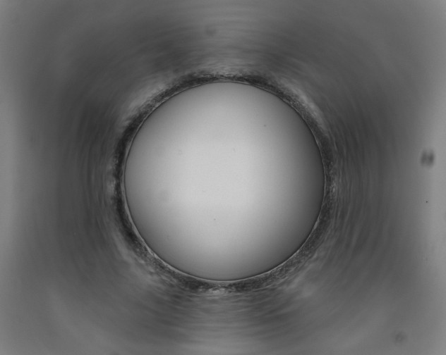 X0000093130635200709261036