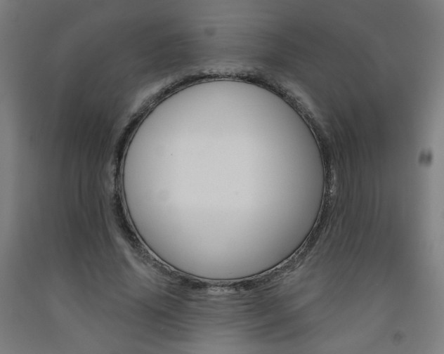 X0000093130636200709261036