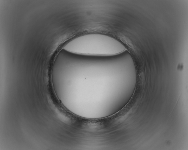 X0000093130638200709261036