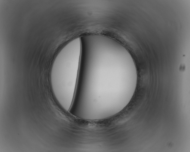 X0000093130641200709261036