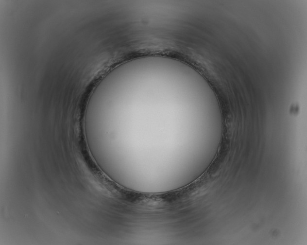 X0000093130642200709261036