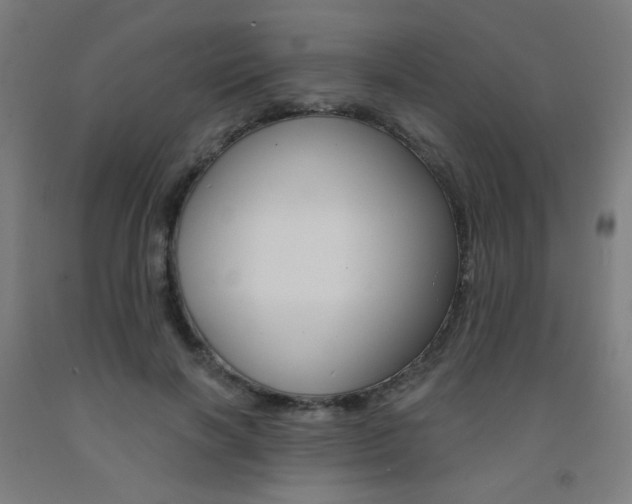 X0000093130646200709261036