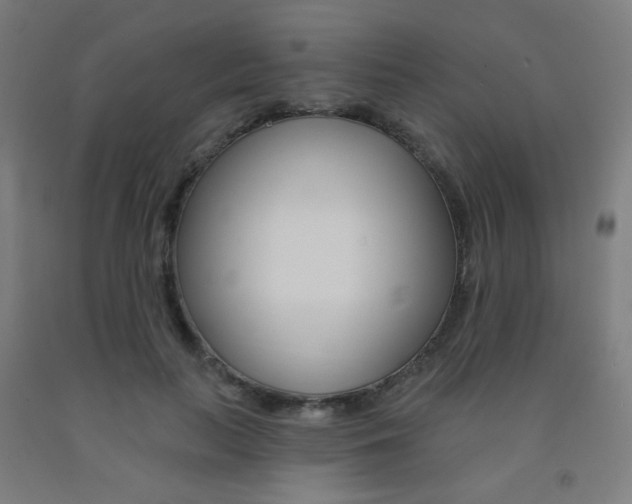 X0000093130647200709261036