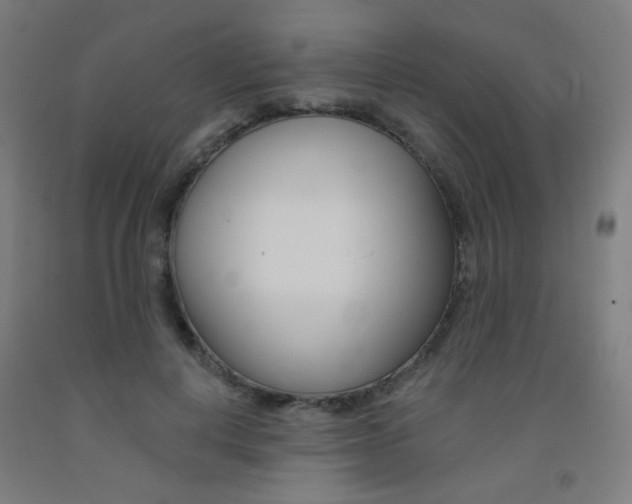 X0000093130648200709261036