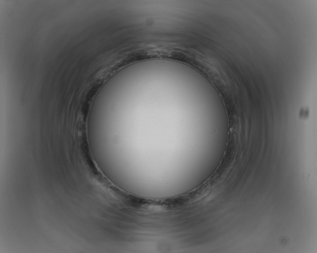 X0000093130649200709261036