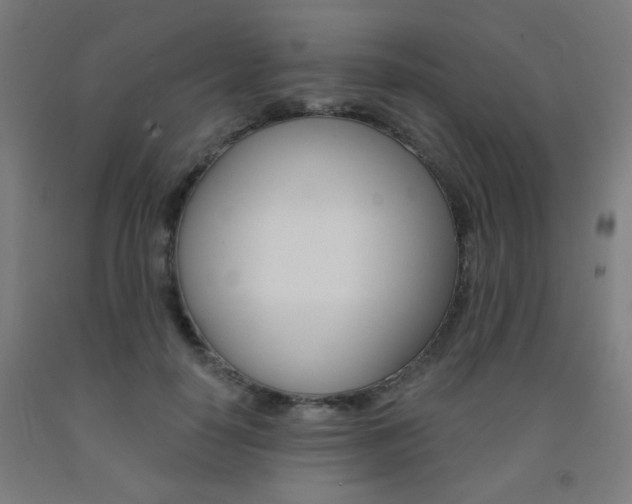 X0000093130650200709261036
