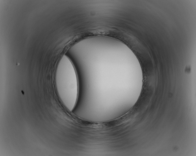 X0000093130652200709261036