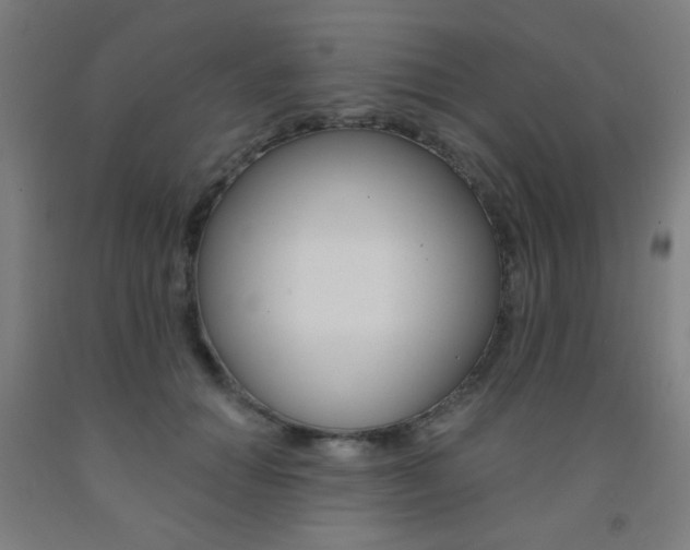 X0000093130654200709261036