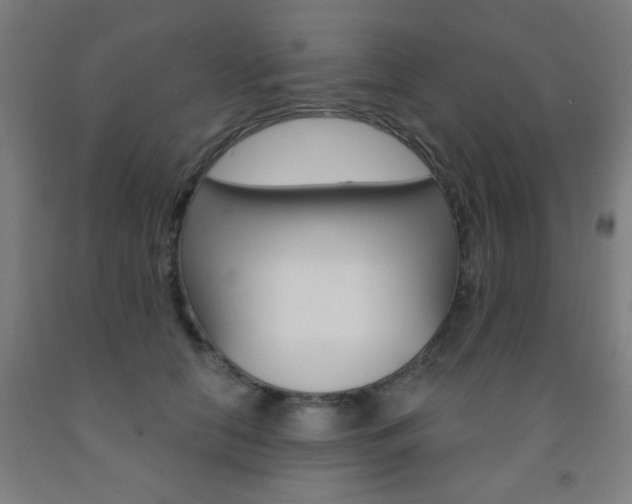 X0000093130658200709261036