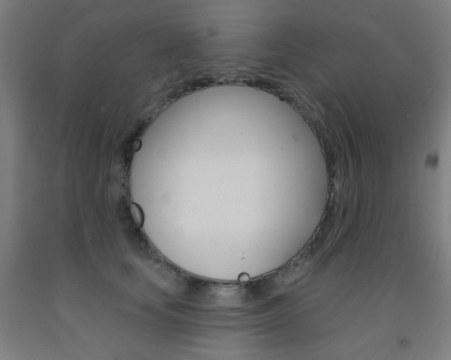 X0000093130659200709261036
