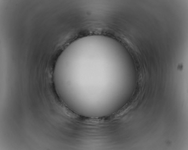 X0000093130661200709261036