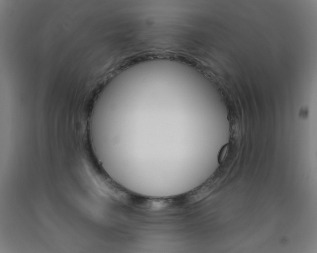 X0000093130662200709261036