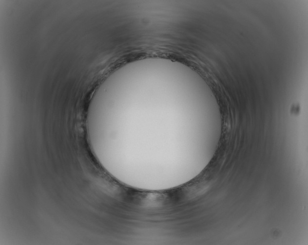 X0000093130663200709261036