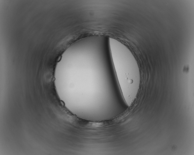 X0000093130665200709261036