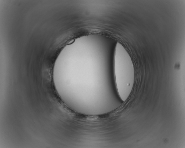 X0000093130666200709261036