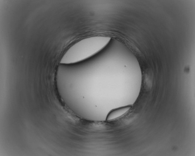 X0000093130668200709261036