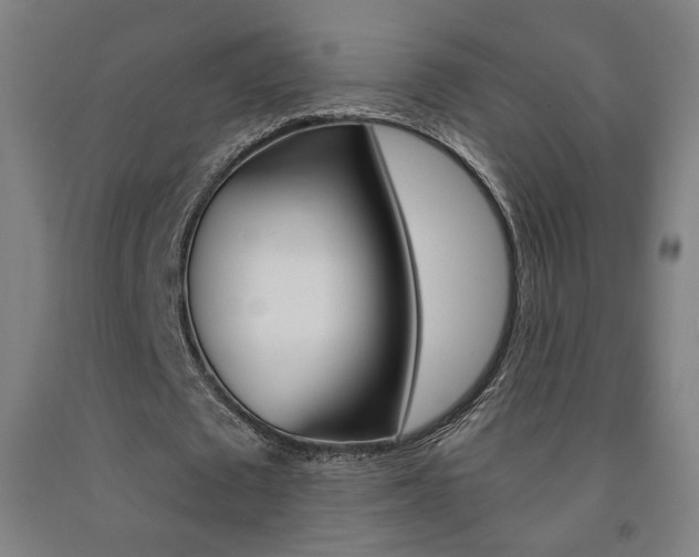 X0000093130673200709261036