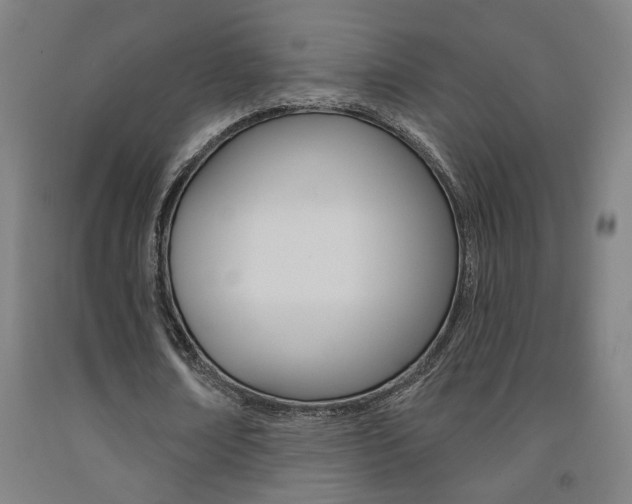 X0000093130674200709261036
