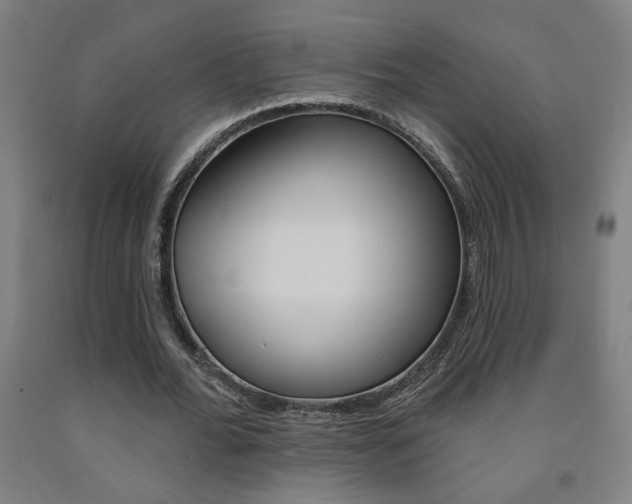 X0000093130676200709261036