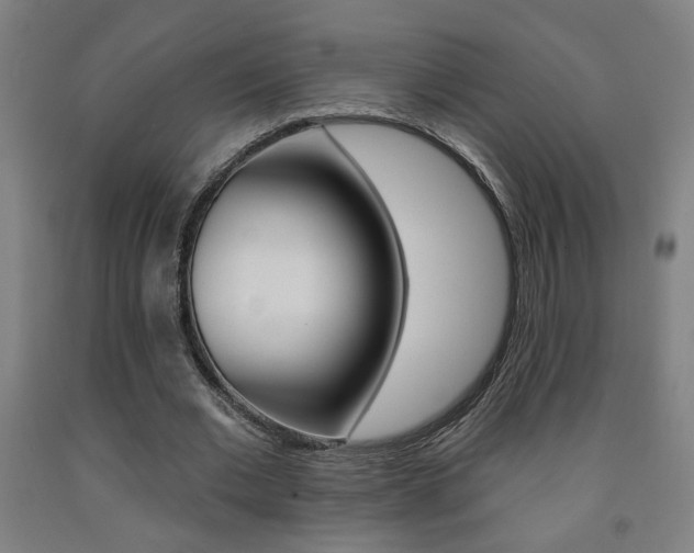 X0000093130677200709261036