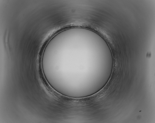 X0000093130678200709261036