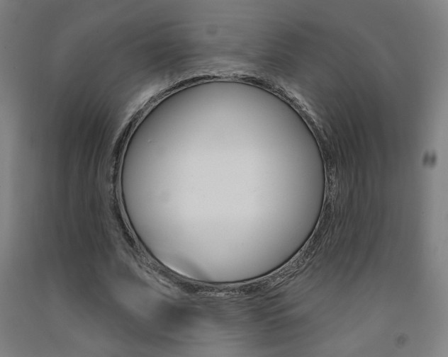 X0000093130679200709261036