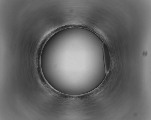 X0000093130680200709261036