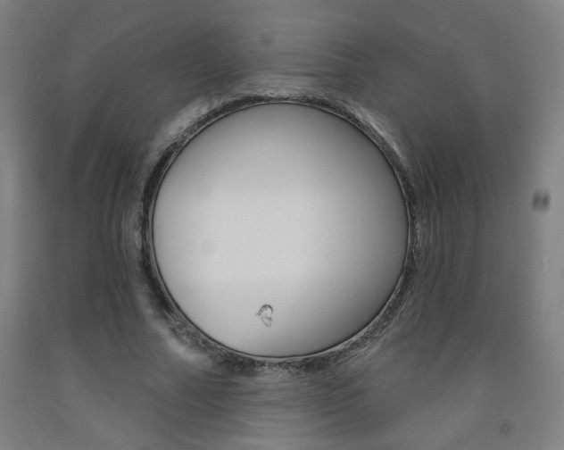 X0000093130682200709261036