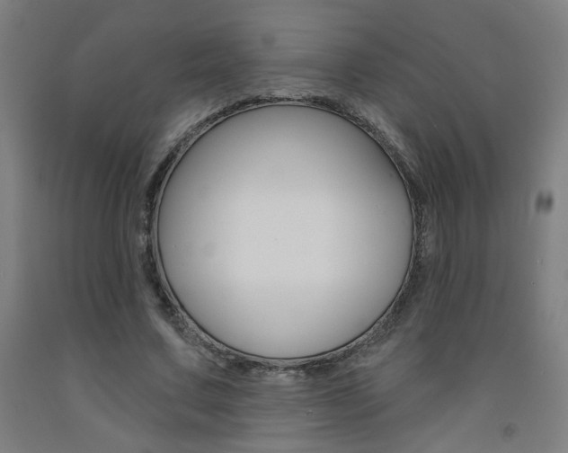 X0000093130683200709261036