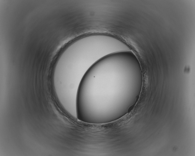 X0000093130684200709261036