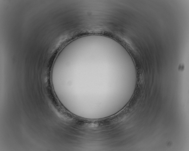 X0000093130687200709261036