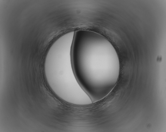 X0000093130689200709261036
