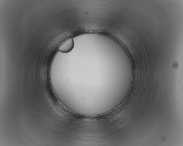 X0000093130690200709261036